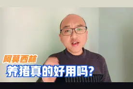 养猪人常用的阿莫西林，养猪老手都配错的四种搭配方法，都知道吗