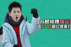 苏醒：曾暴打李炜无人知，夜会美女遭人论，老婆评论：绅士视频封面