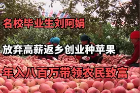 名校毕业刘阿娟，放弃高薪创业种苹果，年入百万带领农民致富视频封面