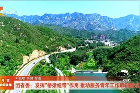 河北团省委：发挥“桥梁纽带”作用 推动服务青年工作取得新成效视频封面