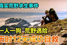 真人版荒野求生事件，一人一狗荒野遇险，历经12天磨难后成功自救视频封面
