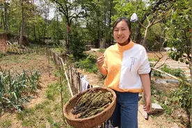 团团把吃不完的香椿做成干菜，可以存放到冬天吃，一整年不会坏视频封面