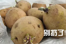 买多的土豆都长芽了，别再扔掉，跟着这么做可以收获30倍回报视频封面
