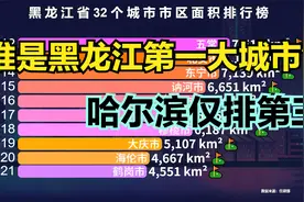 黑龙江32个城市市区面积排名，省会哈尔滨仅排第3，前两名是谁？视频封面