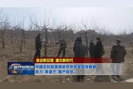 中国农科院果树研究所专家指导春耕 助力“果盘子”稳产保供视频封面