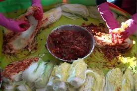 马上要过年了，制作韩国辣白菜刻不容缓，兴森一家忙了两天才做完视频封面