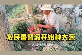 农民鲁智深种大葱投入很大，一亩地人工费一千，种地老提辖最专业视频封面