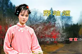红楼梦里最特别的人物，大观园里唯一贫寒的女子邢岫烟视频封面