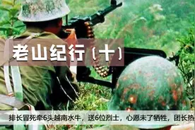 排长冒死牵6头越南水牛，送6位烈士，心愿未了牺牲，团长热泪流视频封面