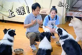 广东电视台探店巨小萌，“外来媳妇罗飞雁”独力对付4只大狗视频封面