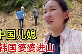 韩国农村的惬意生活，大姑姐一家也来了，跟婆婆上山挖板栗，减肥视频封面