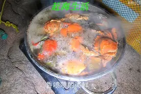 赶海人的生活既简单又享受，抓完海鲜上岸后直接就可以煮着吃视频封面
