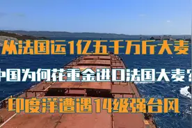 从法国运1亿5千万斤大麦，中国为何要花重金进口法国大麦？视频封面