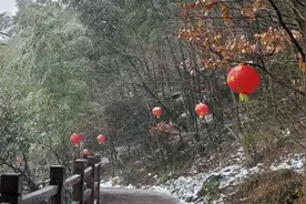 绝美！新春氛围感拉满，江苏南山竹海雪中舞狮太绝了视频封面