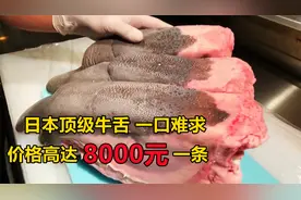 原来牛舌那么值钱，一条高达8000元！直接蘸盐生吃，没有一点腥味视频封面