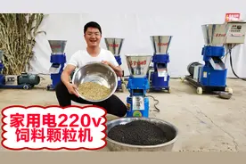 饲料颗粒机怎样使用？3个压辊+220V电动机，家庭养殖请大家参考视频封面