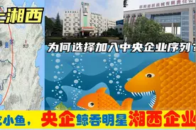 中央上收湖南湘西州邵阳怀化吉首市等6明星企业，从此湘企变央企视频封面