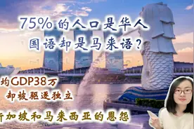 新加坡75%的人口是华人，国语却是马来西亚语？李光耀真的厉害视频封面