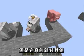 我的世界,狼最喜欢吃的是羊,青蛙吃下史莱姆会变的很方！
