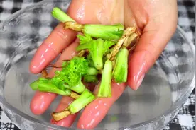 香菜根千万别再扔了，放水中一煮原来是个宝，家家都需要，先收藏视频封面