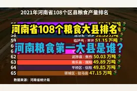 2021河南省108个县粮食产量排行！13个县超百万吨，有你家乡吗？