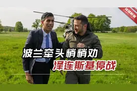 美记者爆料：波兰牵头悄悄劝泽连斯基停战，必要时让他下台视频封面