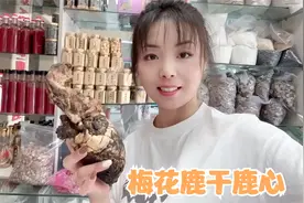 梅花鹿鹿心，鹿心打粉吃有什么作用，公鹿心和母鹿心效果一样吗视频封面