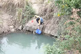 军仔深潭野钓，手杆改海杆，大货连连上，甩干甩到手发软！视频封面