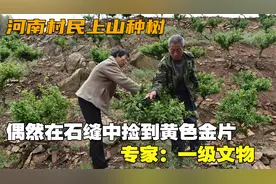 河南村民上山种树，偶然在石缝中捡到黄色金片，专家：一级文物视频封面