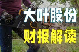 一季度利润超2021全年！大叶股份是怎么做到的？【产业掘金03】