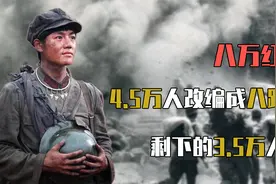 红军共有8万人，4.5万人改编成八路军，还有3.5万人去哪儿了视频封面