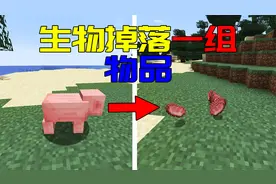 当MC中每种生物掉落一组物品，生存变简单了？视频封面