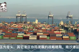 同心粤港澳 携手大湾区｜南沙港区正打造高水平对外开放门户枢纽视频封面