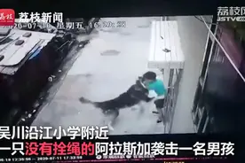 触目惊心！湛江一小孩被狗撕咬流血 路人抄起板砖木棍驱赶视频封面