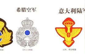 二战波兰、罗马尼亚、芬兰、保加利亚、挪威、希腊、意大利军徽视频封面