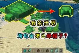 盘点MC海龟的特性，海龟会回到出生地产卵，被雷劈会变成木碗