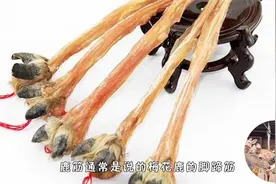 禾恩元：鹿筋除了煲汤竟然还能泡酒！