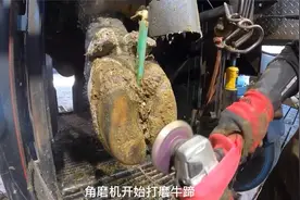 西班牙斗牛牛蹄受伤治疗，全程极度解压