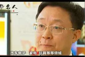 科大讯飞董事长刘庆峰（中华名人库.微视百科）视频封面