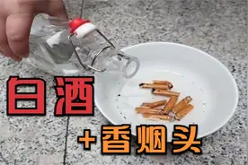 把烟头和白酒放一起，用途真是太棒了，解决家里困扰烦恼，涨知识