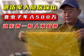 退伍军人在大山里养蜂，给蜂箱里加这个东西，就可以年入500万视频封面