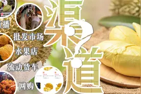 不同地区榴莲差价为何那么离谱！国内哪里能买到便宜好吃的榴莲？视频封面