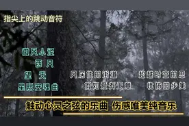 12首触动心灵之弦的乐曲 伤感唯美纯音乐