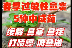 春季过敏性鼻炎，5种中成药，缓解鼻塞、鼻痒、流鼻涕、喷嚏不断视频封面