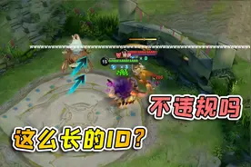 小虾米：ID这么长的白起，玩了5年王者了，还是第一次见视频封面