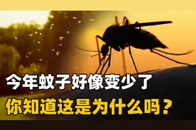 不知您有没有发现？今年的蚊子少了，知道是为什么吗？