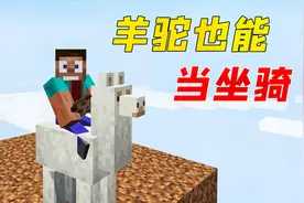 我的世界：羊驼可以骑！跑起来拦都拦不住，真刺激视频封面