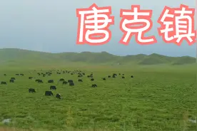 清晨的大草原，炊烟袅袅视频封面