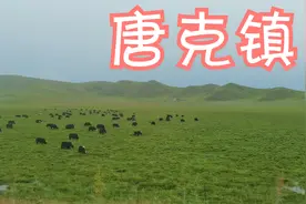 清晨的大草原，炊烟袅袅视频封面