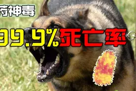 百分之百死亡率的狂犬病被治愈？狂犬病毒是如何操控人类的意识视频封面